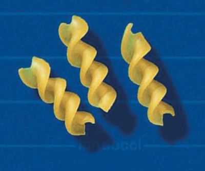 Fusilli 1013/04