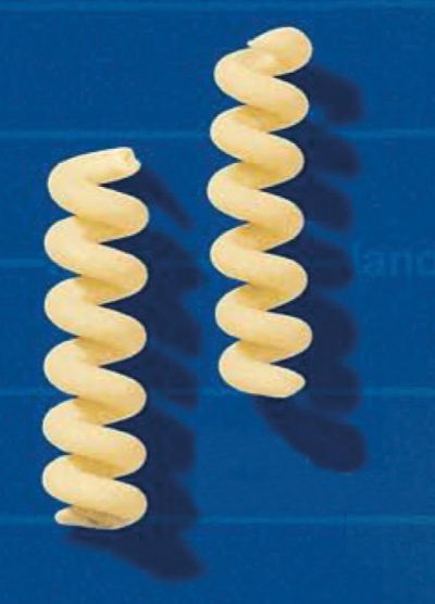 Fusilli forati corti 762/02