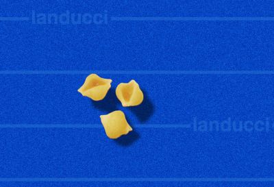 conchiglie 731-02