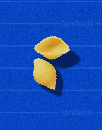 conchiglie 734-02