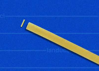 fettuccelle 529