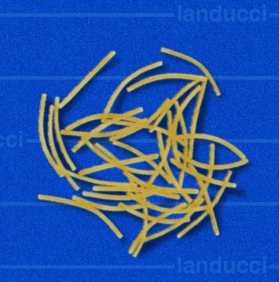 spaghetti tagliati 956-02