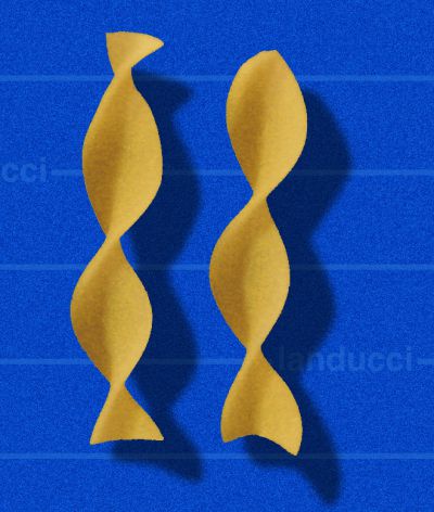 tagliatelle girate 937-104