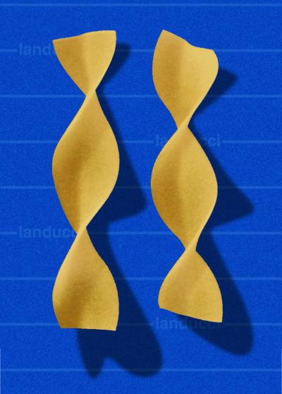 tagliatelle girate 937-140