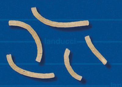Stick 1011
